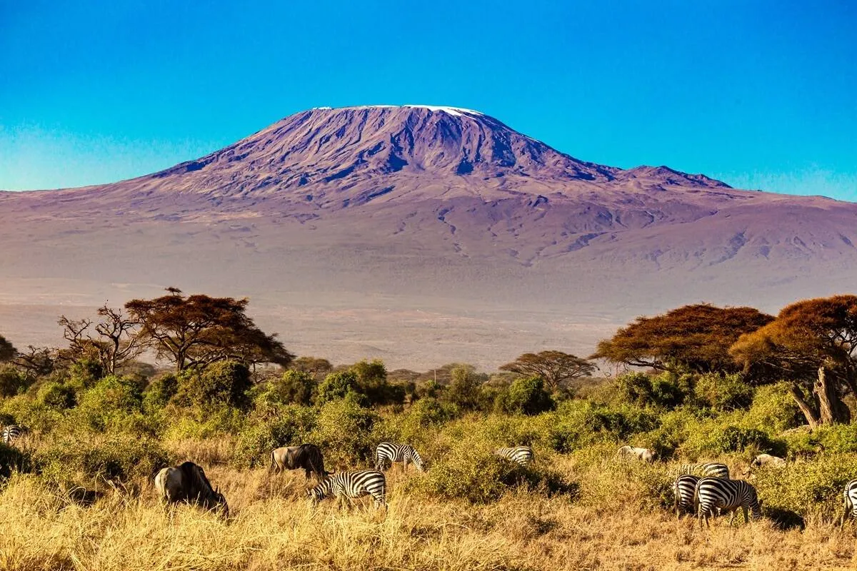 Ngorongoro Crater — A Day in the Caldera